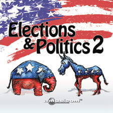 AMU163 Elections & Politics 2