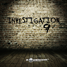 AMU182 Investigation 9
