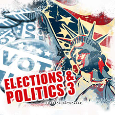 AMU176 Elections & Politics 3